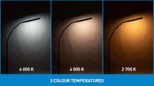 Load image into Gallery viewer, 3 images showing the 3 different colour temperatures of the Electra light, Left is Daylight light 6,000K, middles is Cool light 4,000K and Right is Warm light 2,700K
